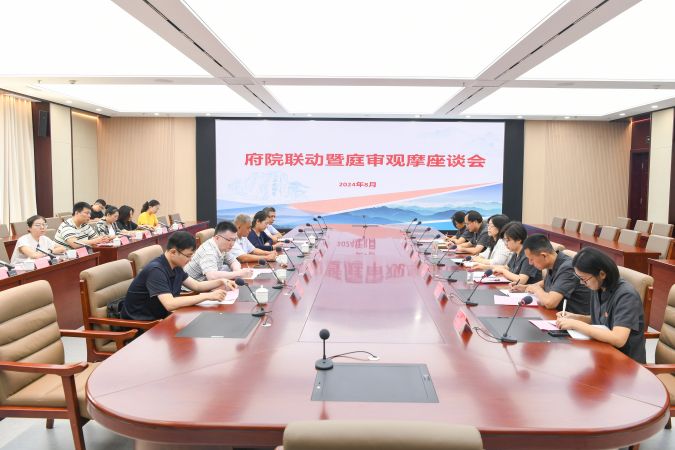 府院联动观摩2
